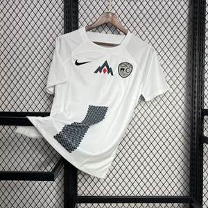 Eslovênia · 2024/25 Euro Visitante
