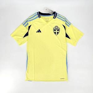 Suécia · 2024/25 Euro Titular